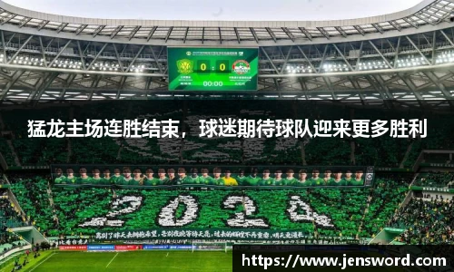 猛龙主场连胜结束，球迷期待球队迎来更多胜利